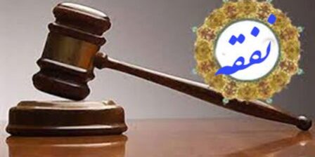 اجزاء نفقه نزدیکان در قانون مدنی